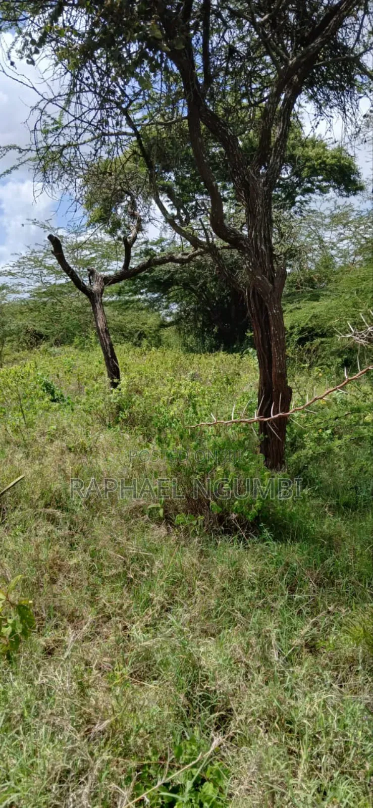 Twenty Two (22) Acres Mwala Kyawango