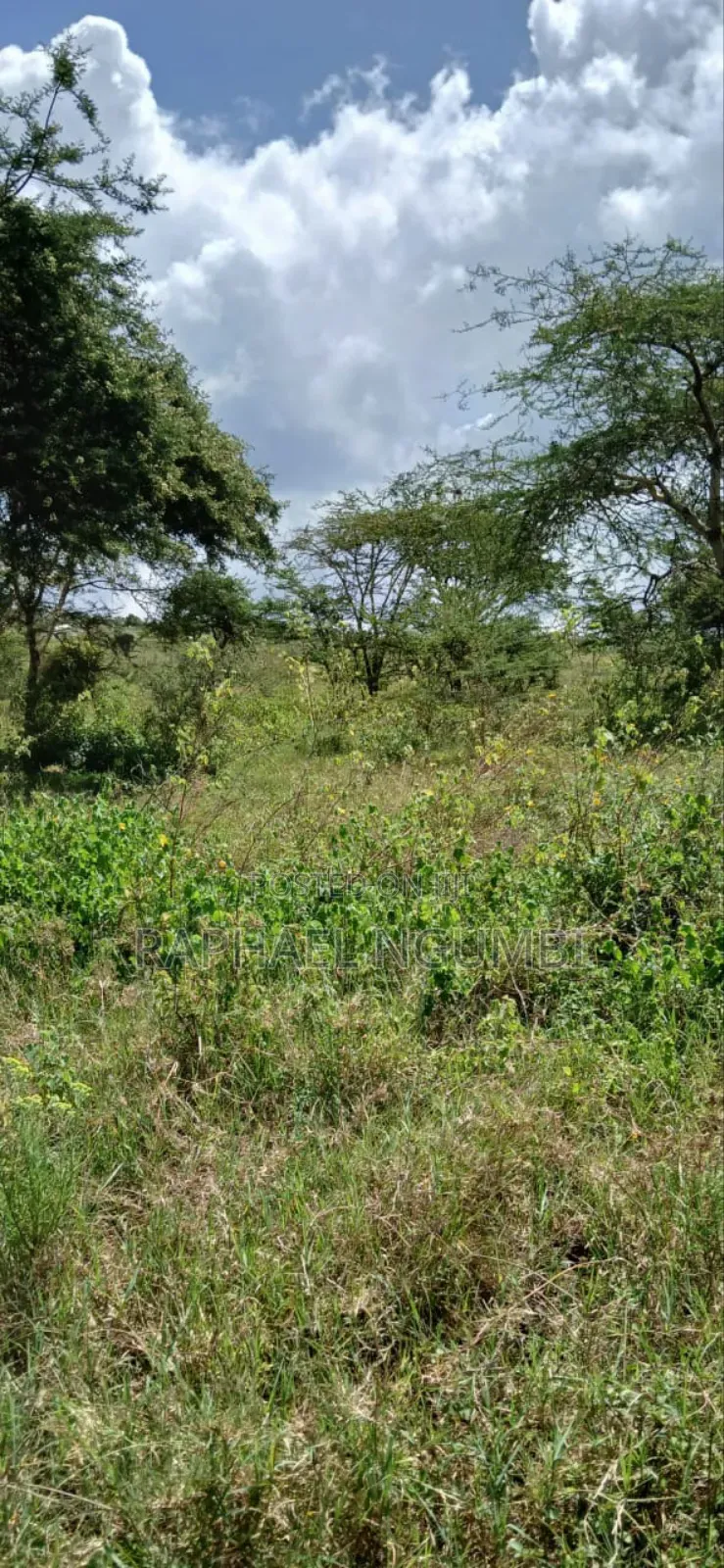 Twenty Two (22) Acres Mwala Kyawango