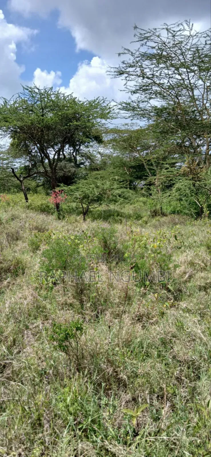 Twenty Two (22) Acres Mwala Kyawango