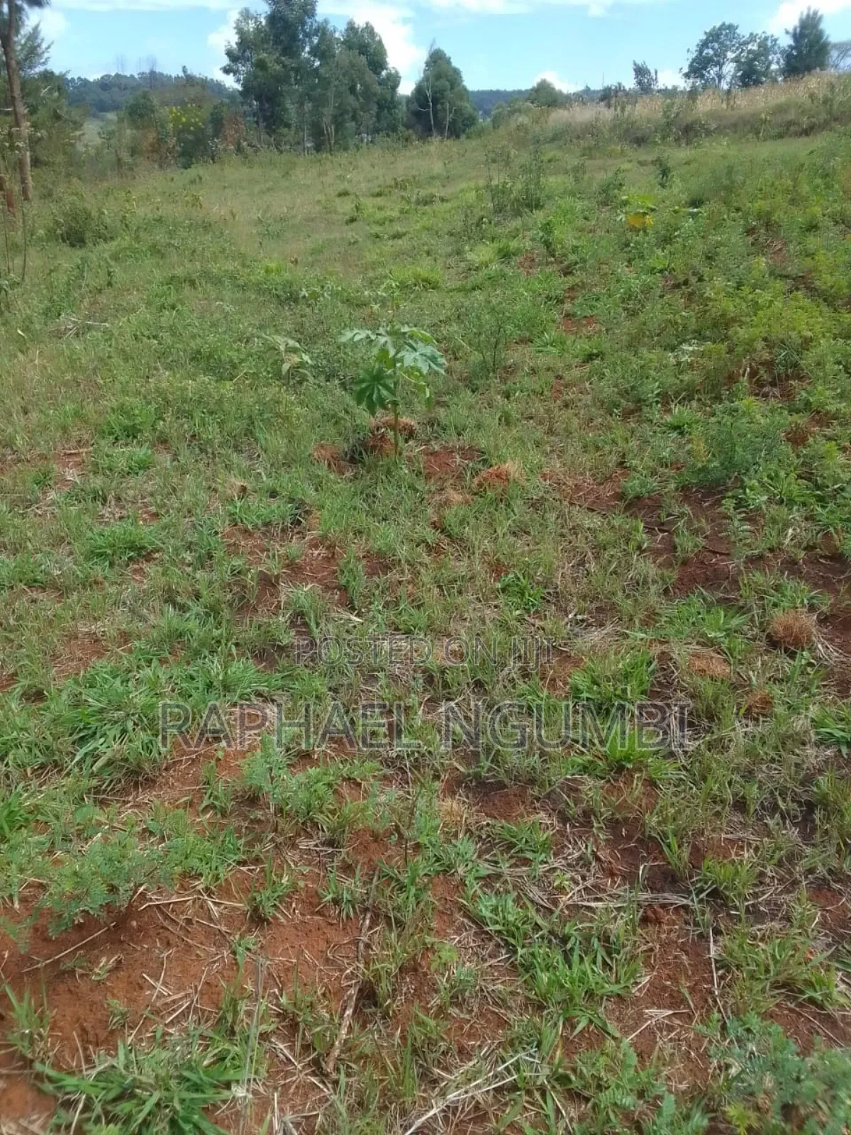 One (1) Acre Mua Kitanga Machakos County.