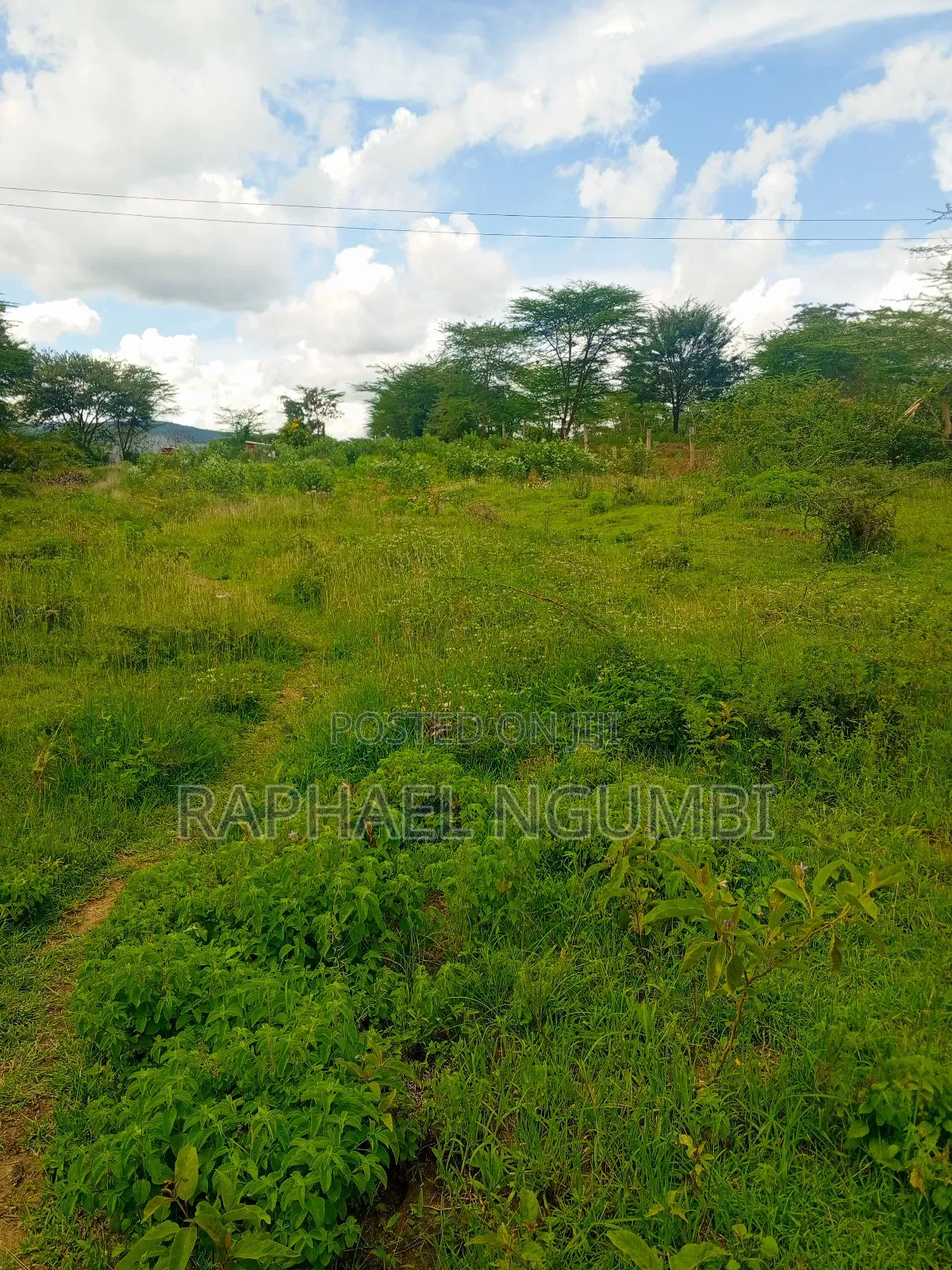 50*100 Plots Machakos Town