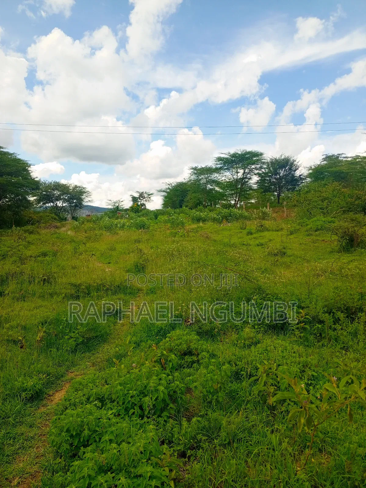 50*100 Plots Machakos Town