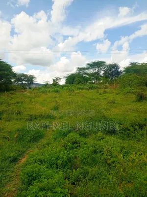 50*100 Plots Machakos Town