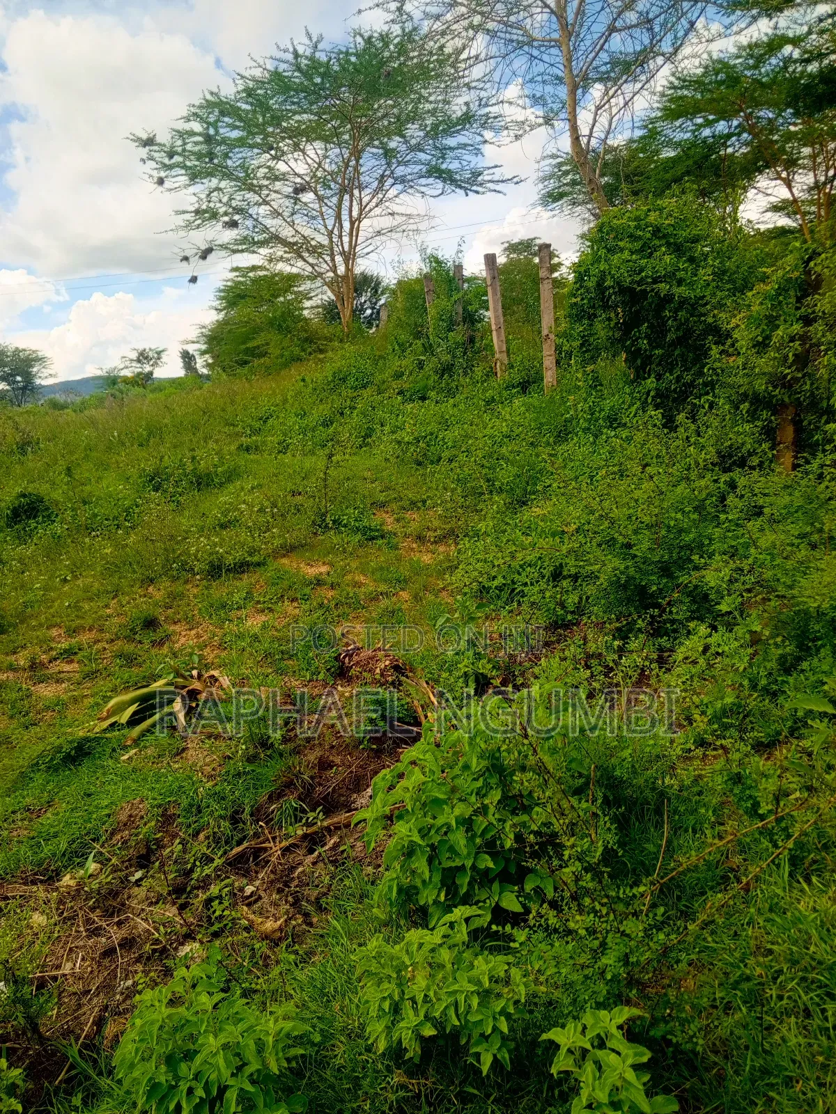 50*100 Plots Machakos Town