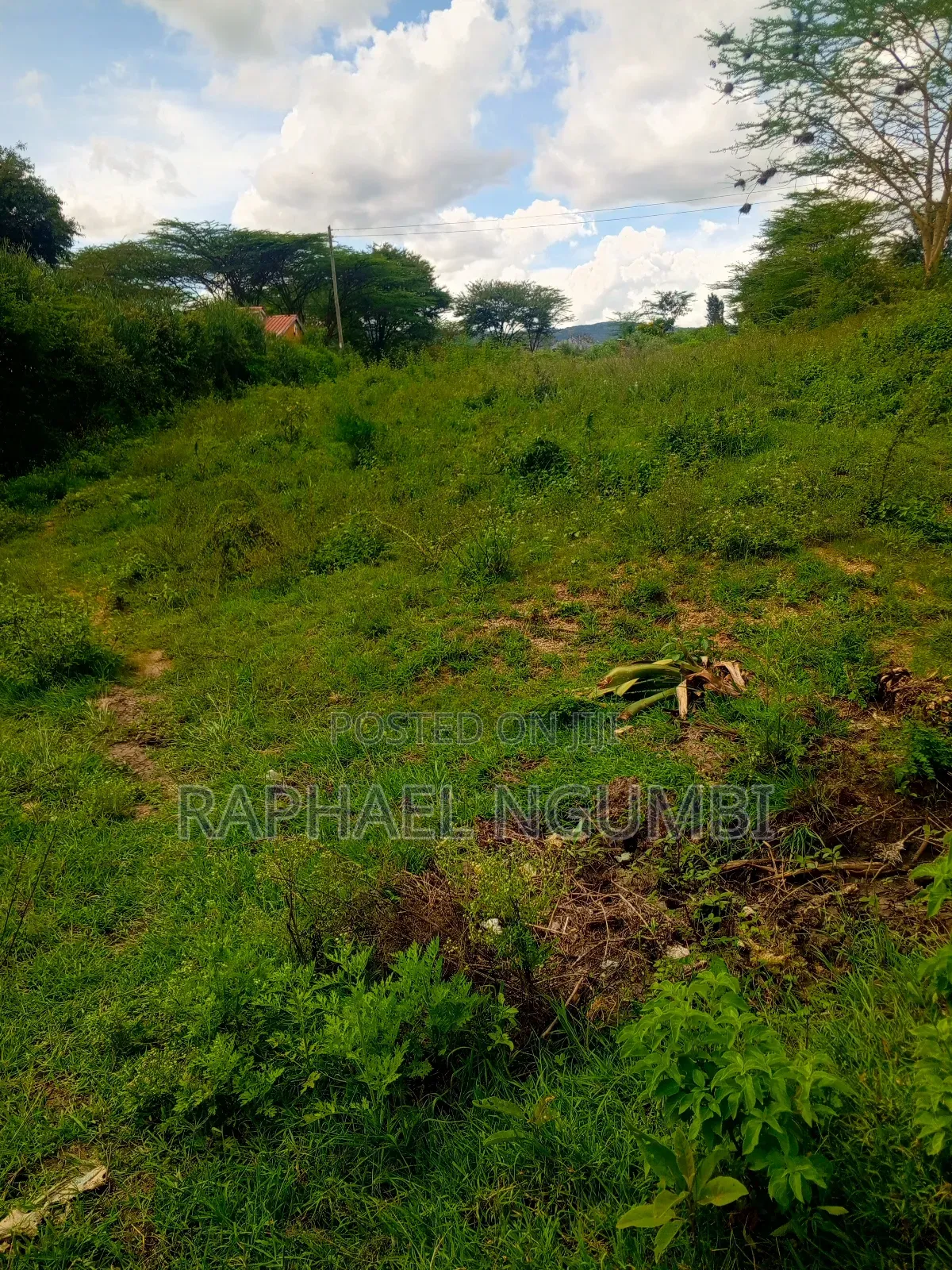 50*100 Plots Machakos Town