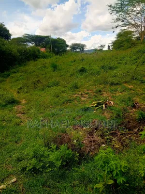 50*100 Plots Machakos Town