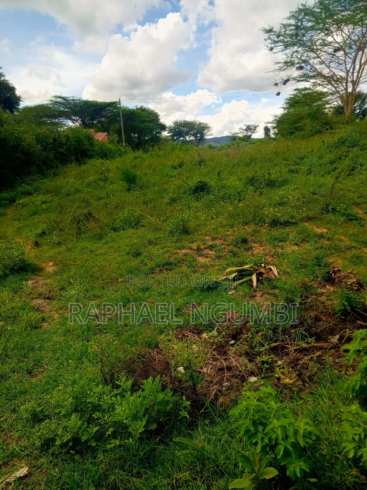 50*100 Plots Machakos Town
