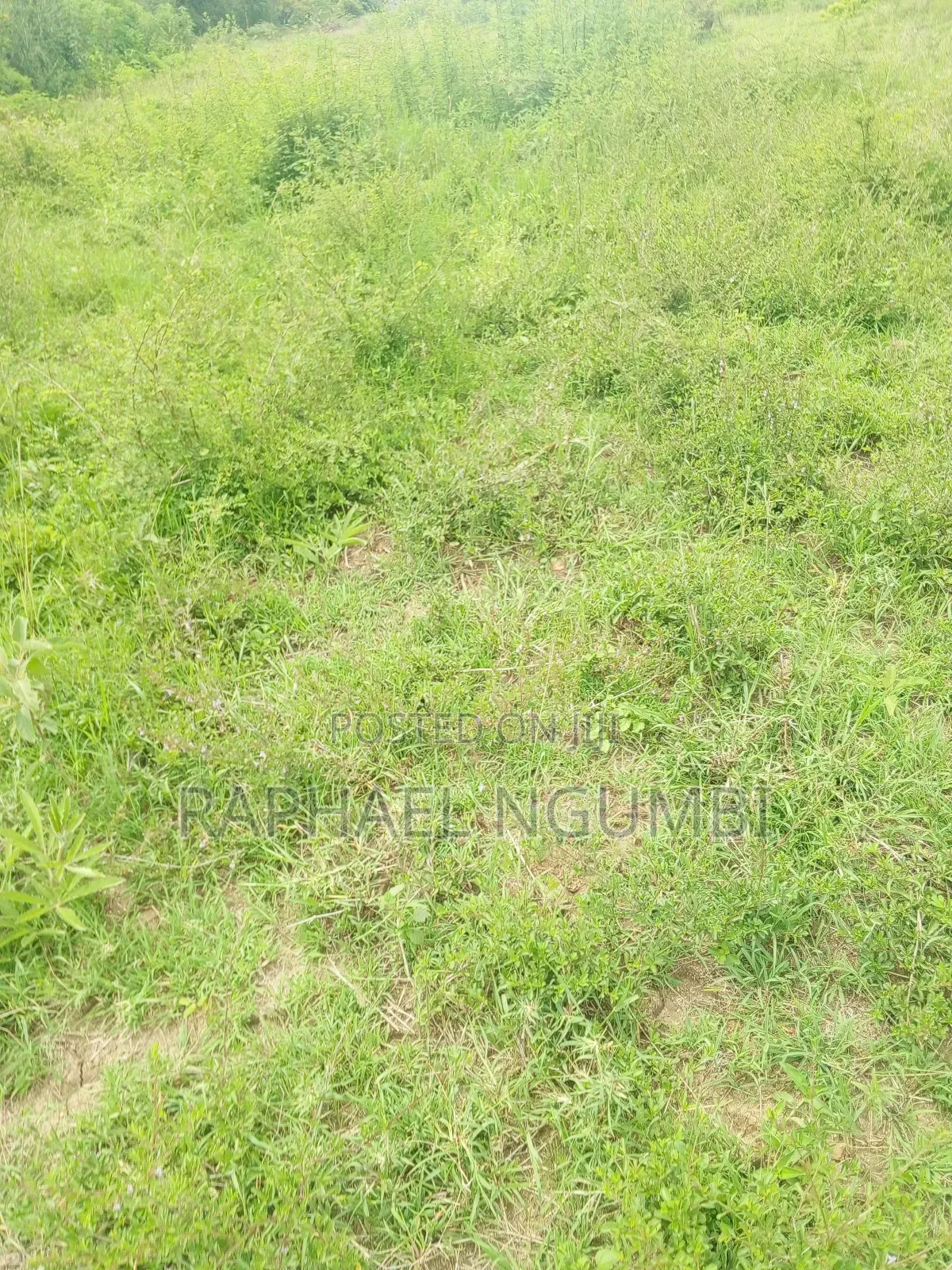 50*100 Plots Machakos Town