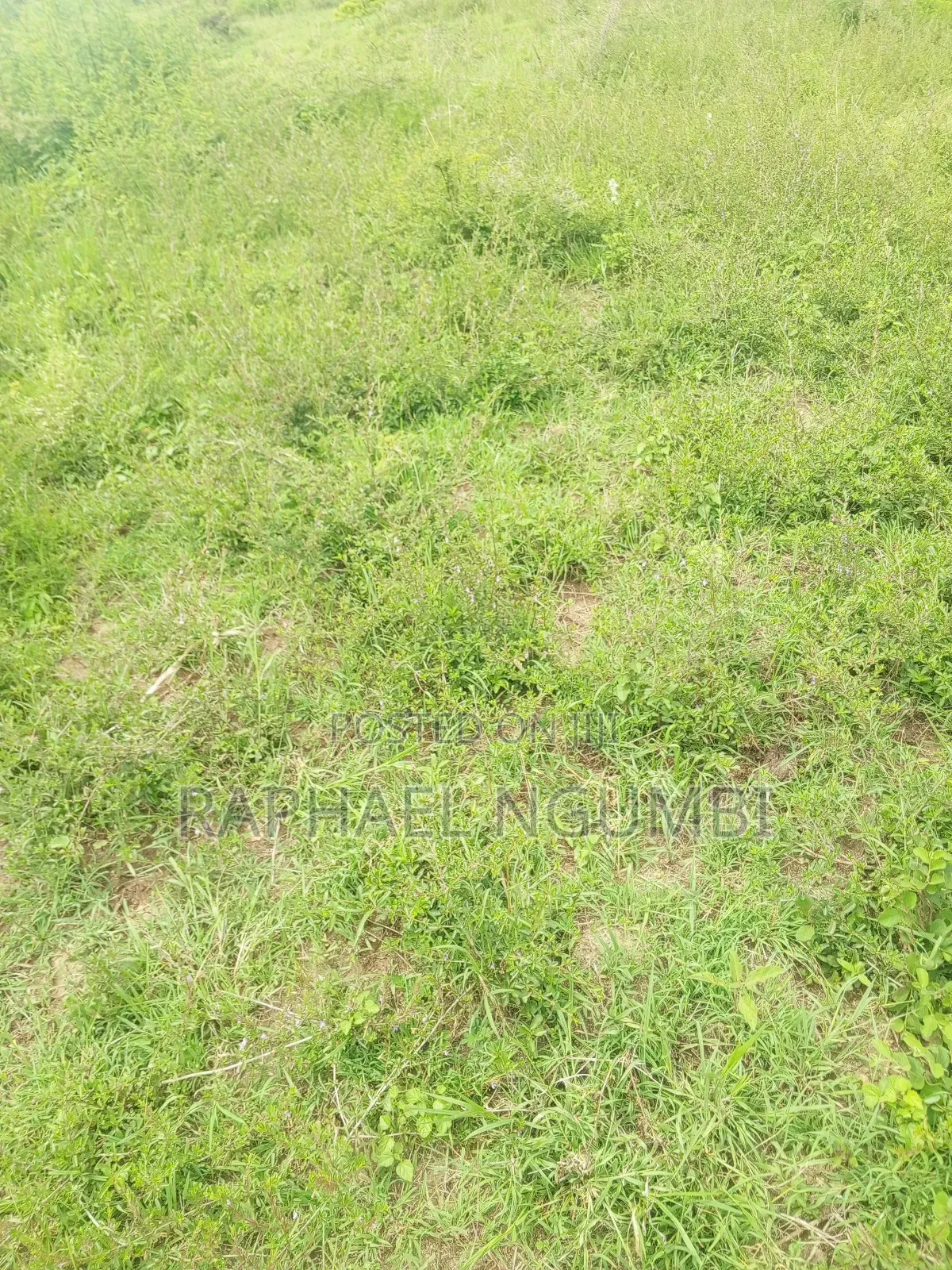 50*100 Plots Machakos Town