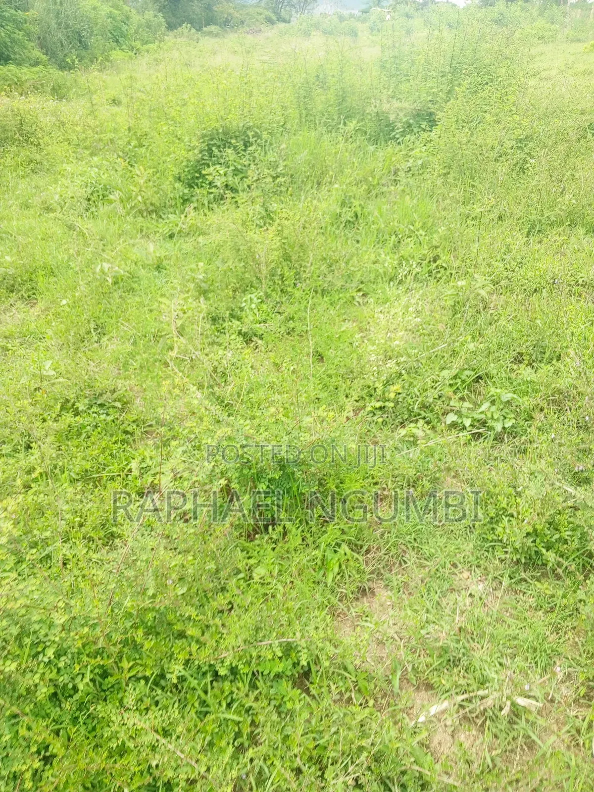 50*100 Plots Machakos Town
