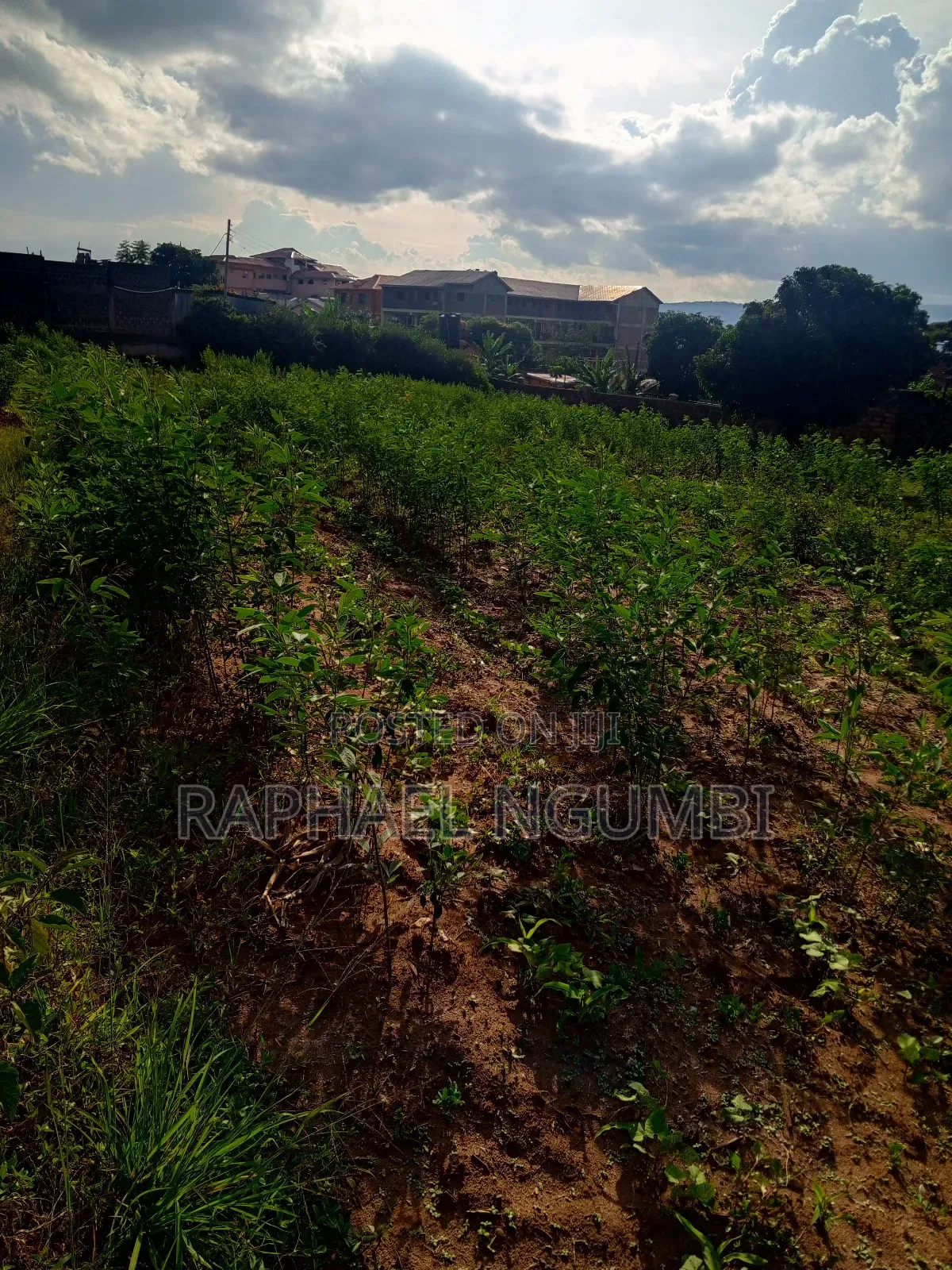 Machakos Eastleigh Plot (Kwa Nguku)