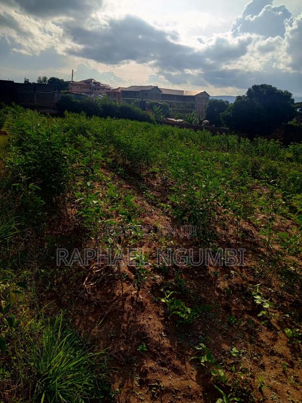 Machakos Eastleigh Plot (Kwa Nguku) - thumbnail 4