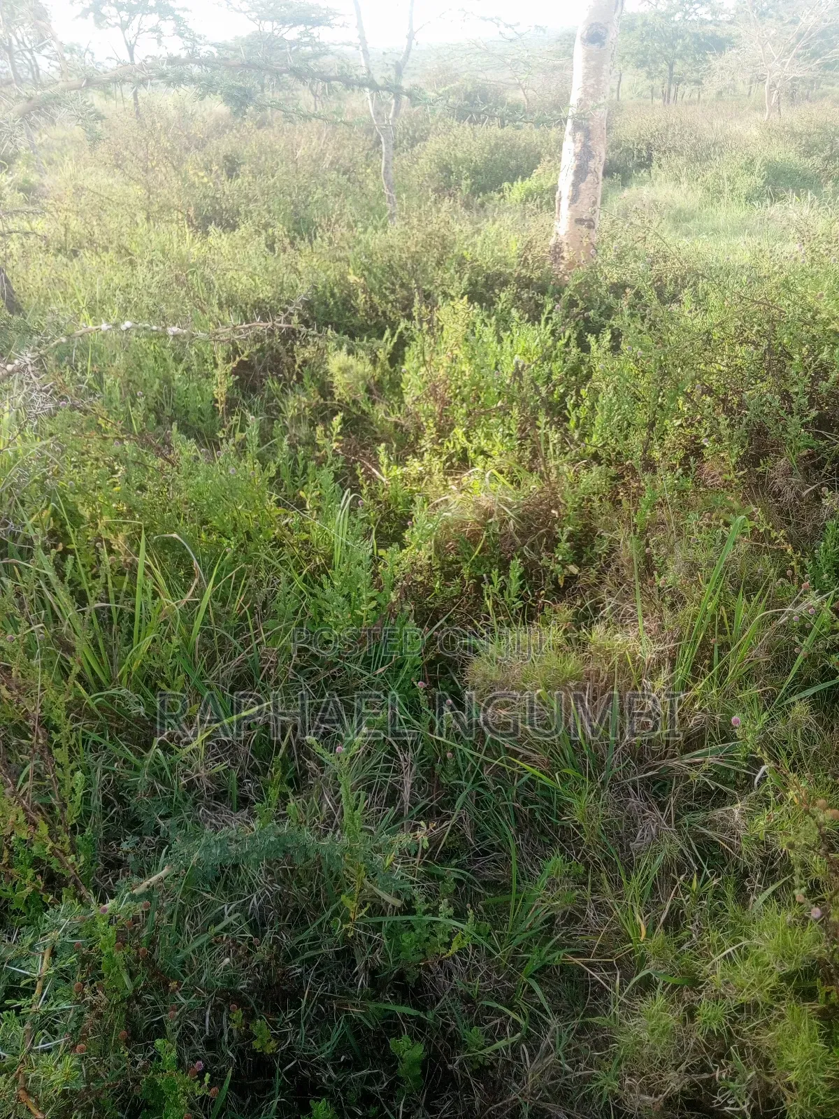 10 Acres Machakos Junction (Kindaruma)