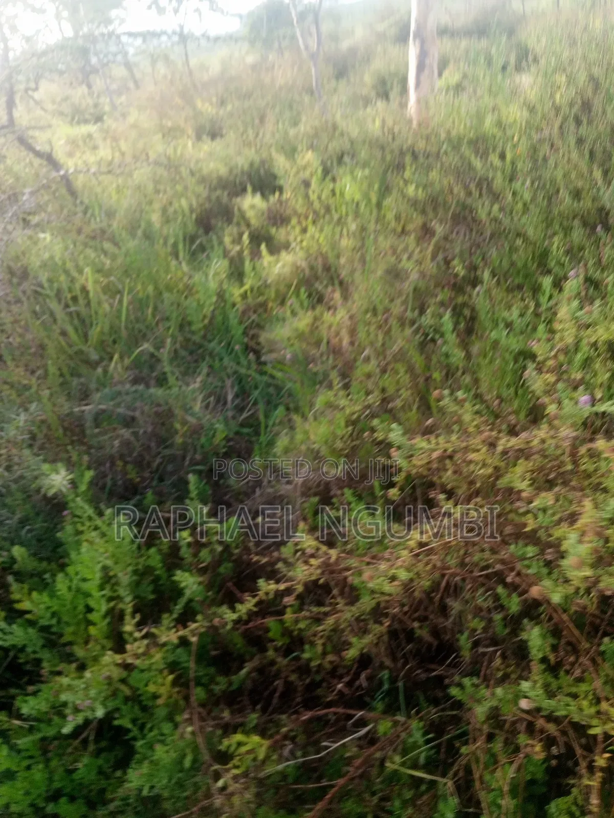 10 Acres Machakos Junction (Kindaruma)
