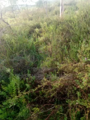 10 Acres Machakos Junction (Kindaruma)