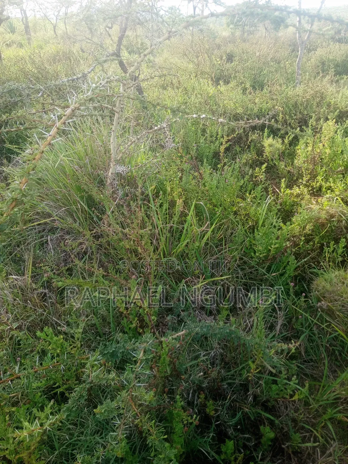 10 Acres Machakos Junction (Kindaruma)