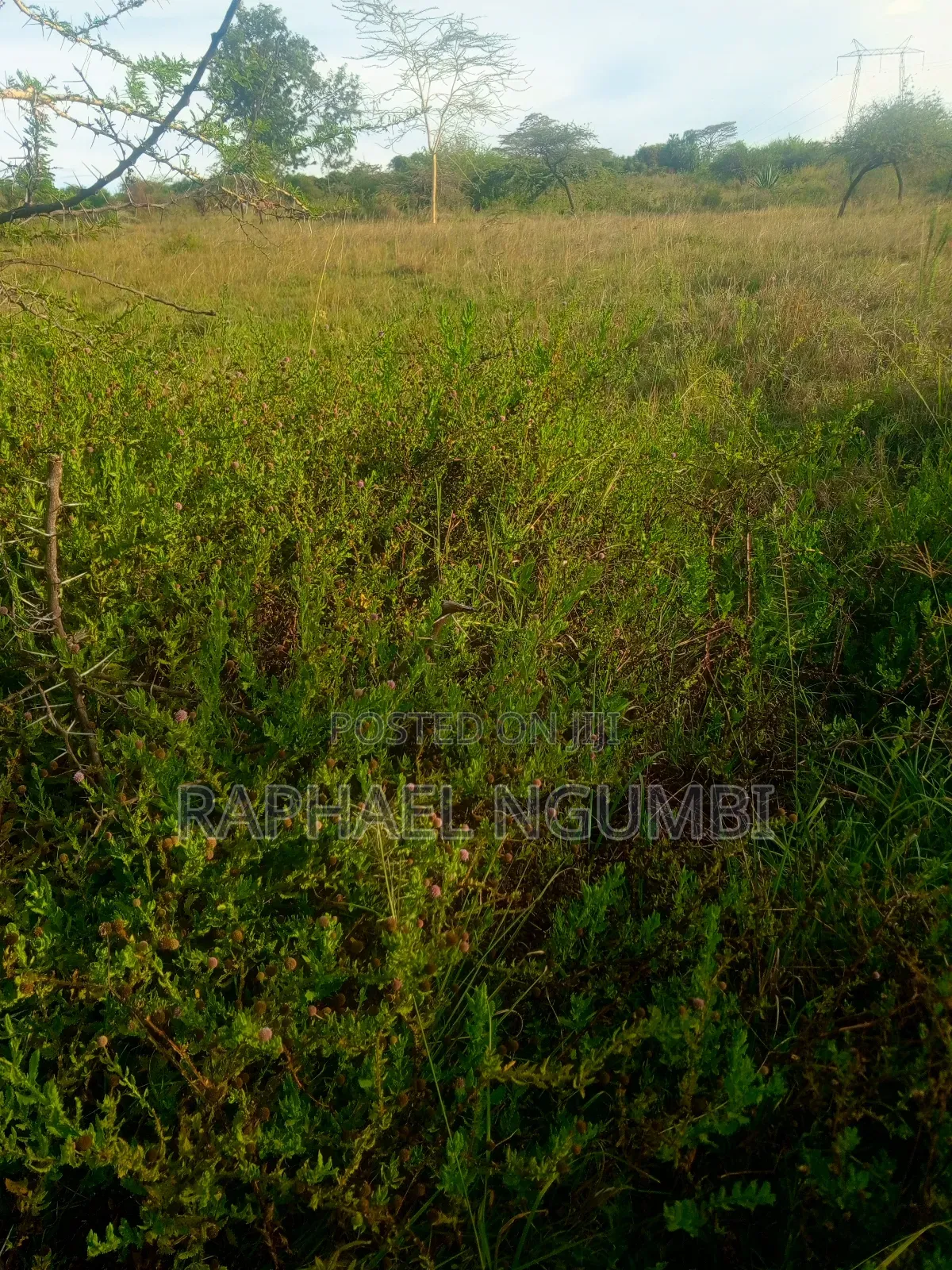 10 Acres Machakos Junction (Kindaruma)
