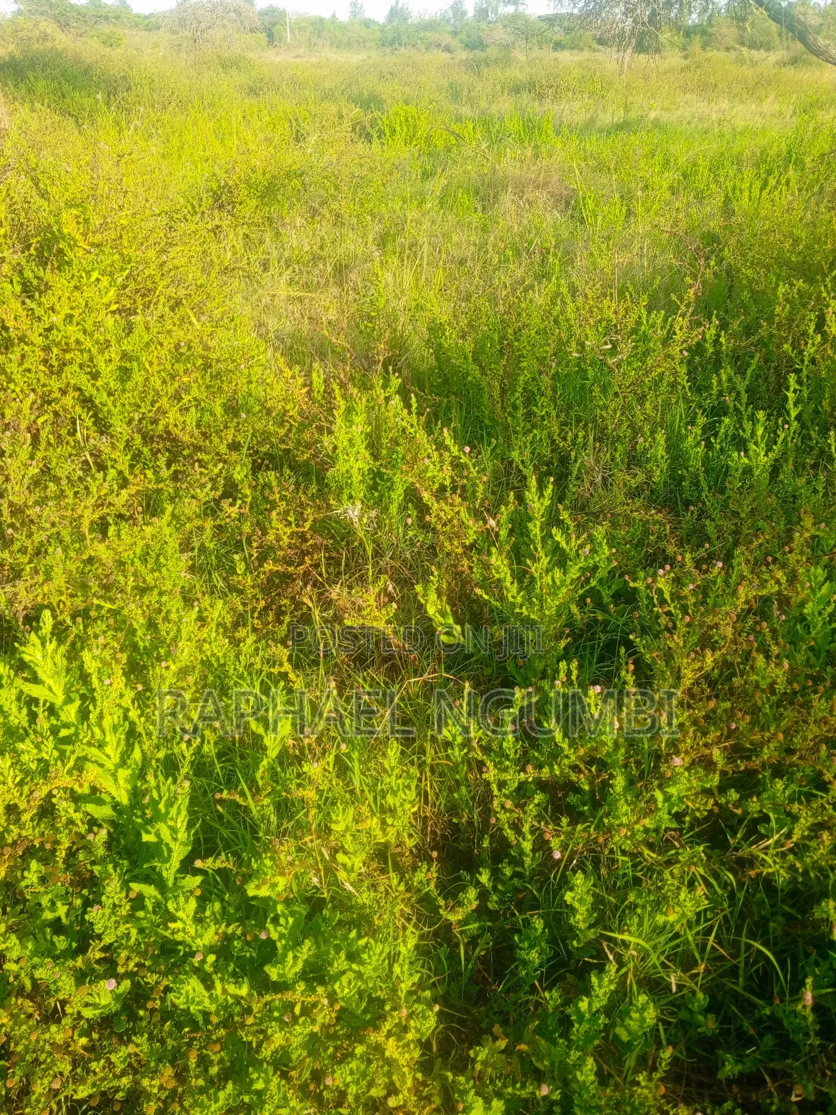 10 Acres Machakos Junction (Kindaruma)