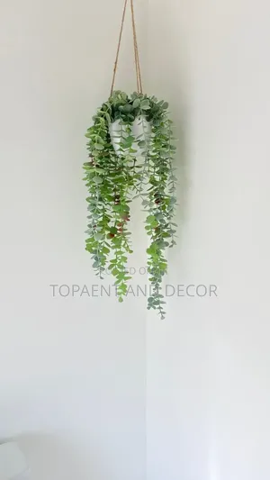 Leafy Vibes Decor for Your Home and Offices