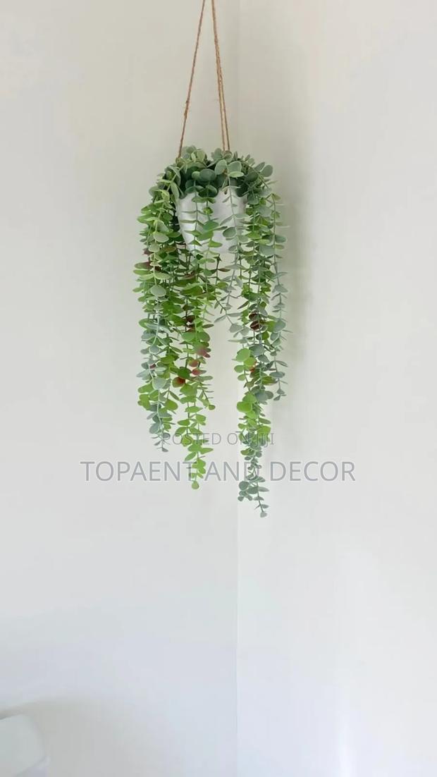 Leafy Vibes Decor for Your Home and Offices