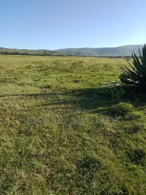 10acres in Longonot Area
