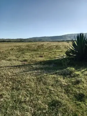 10acres in Longonot Area