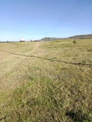 10acres in Longonot Area
