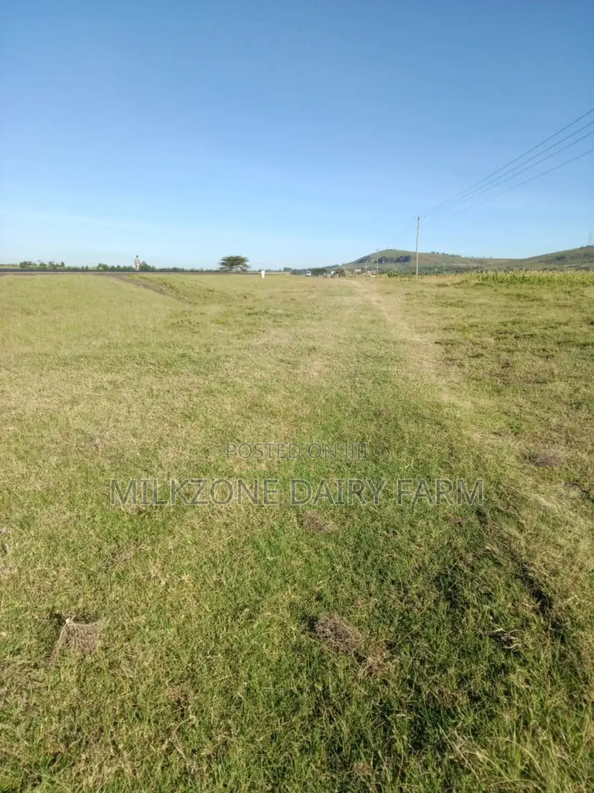 10acres in Longonot Area
