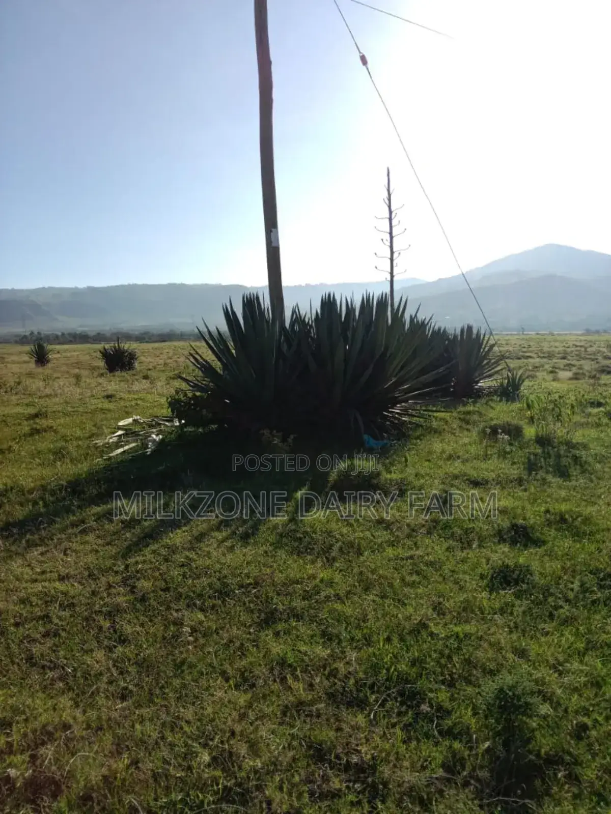 10acres in Longonot Area