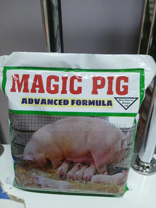 Magic Pig 1kg - main view