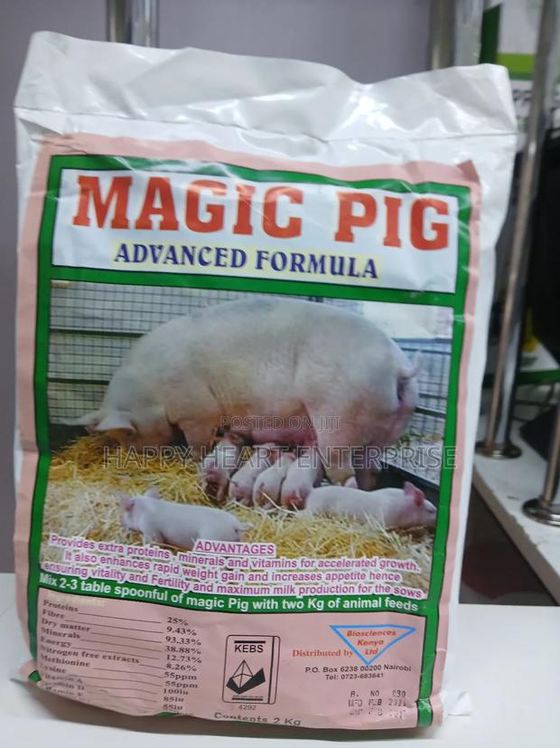 Magic Pig 2kgs - main view