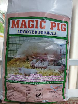 Magic Pig 5kgs - thumbnail 2