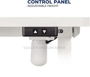 Standing Desk; Contemporary Electric Adjustable Office Desk