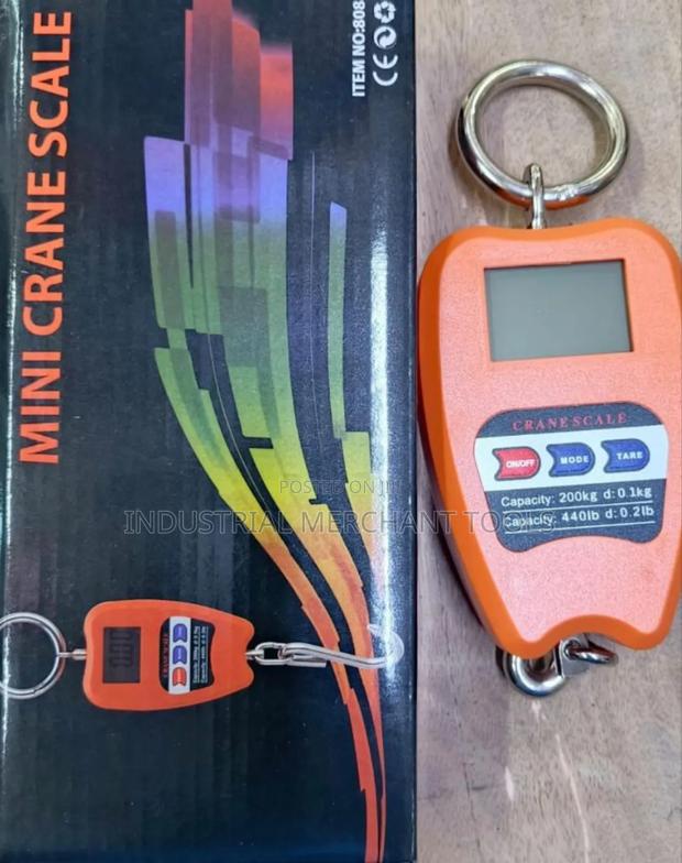 Mini Crane Scale 200kgs - main view