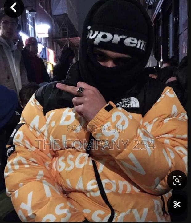 Legit Quality Designer North Face Puffed Unisex Bomba Jacket - thumbnail 2