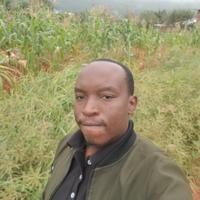 freddies library logo