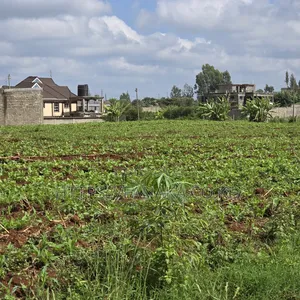 Residential Plots in Ruiru-Mugutha ^Jm