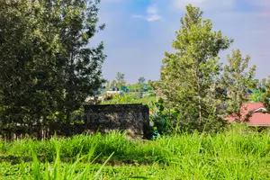 Ruiru - Mugutha 50 by 100 Plots for Sale ^Sk