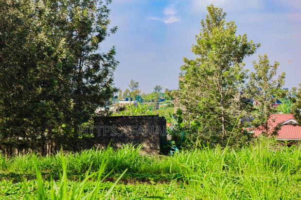 Ruiru - Mugutha 50 by 100 Plots for Sale ^Sk