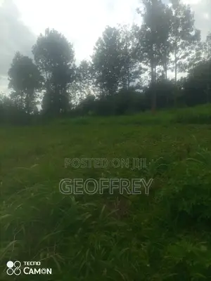 Selling 2 Acres in Gatundu Gatukuyu Touching Tarmac