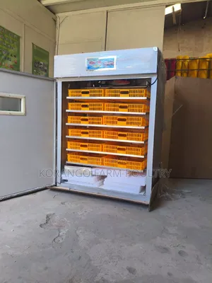 1056 Eggs Incubator