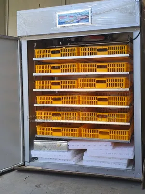 1056 Eggs Incubator