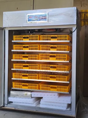 1056 Eggs Incubator