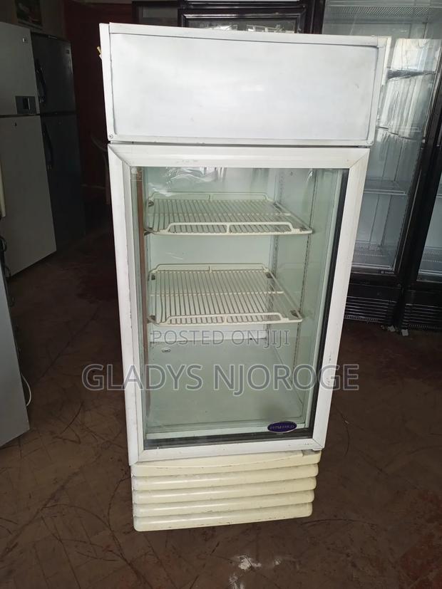 Perfect Medium Size Display Fridge