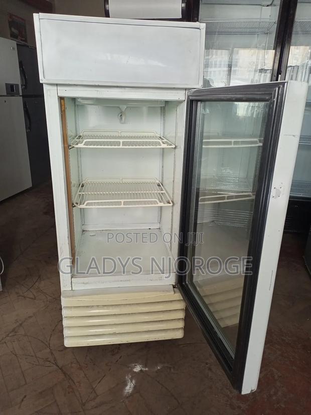 Perfect Medium Size Display Fridge - thumbnail 4