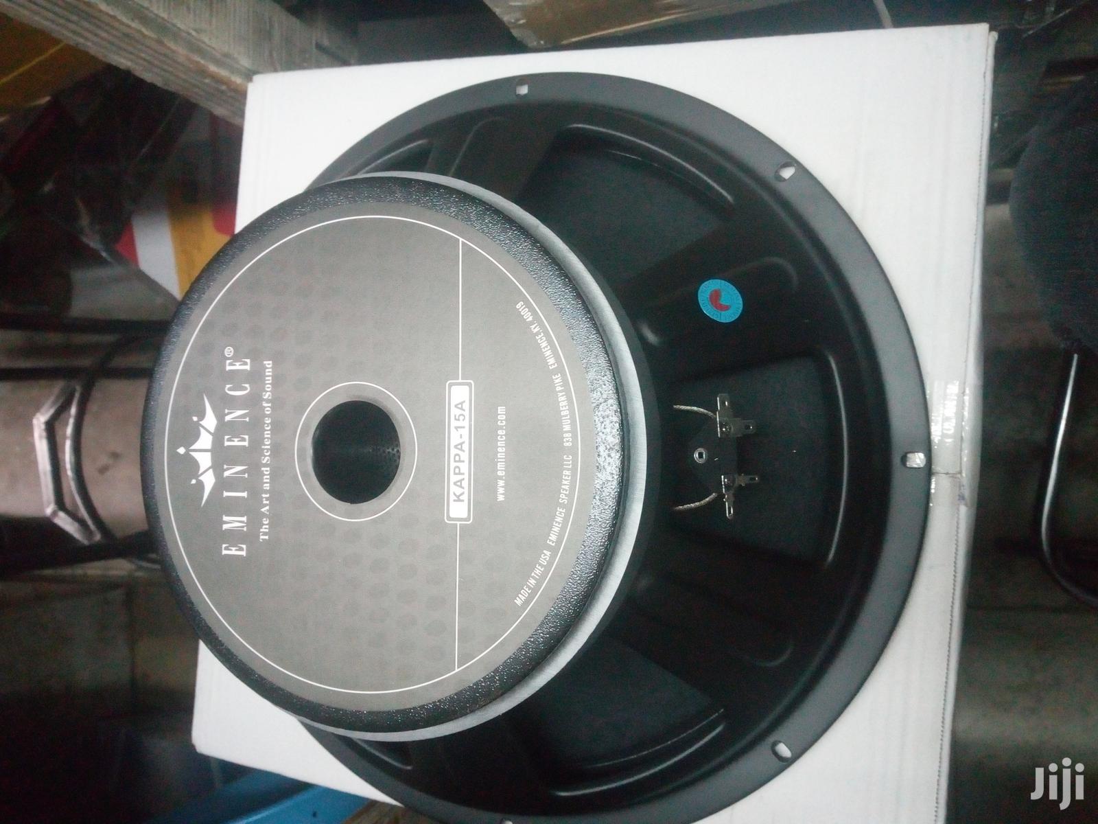 Naked Speakers 15 Inches