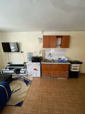 Charming Studio Airbnb TRM Drive Gate C Roysambu Thika Rd