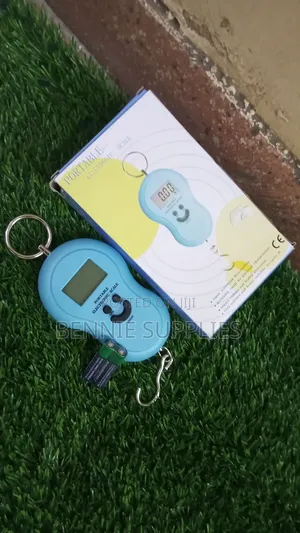 Electronic Digital Scale Weighing Scale 50kg