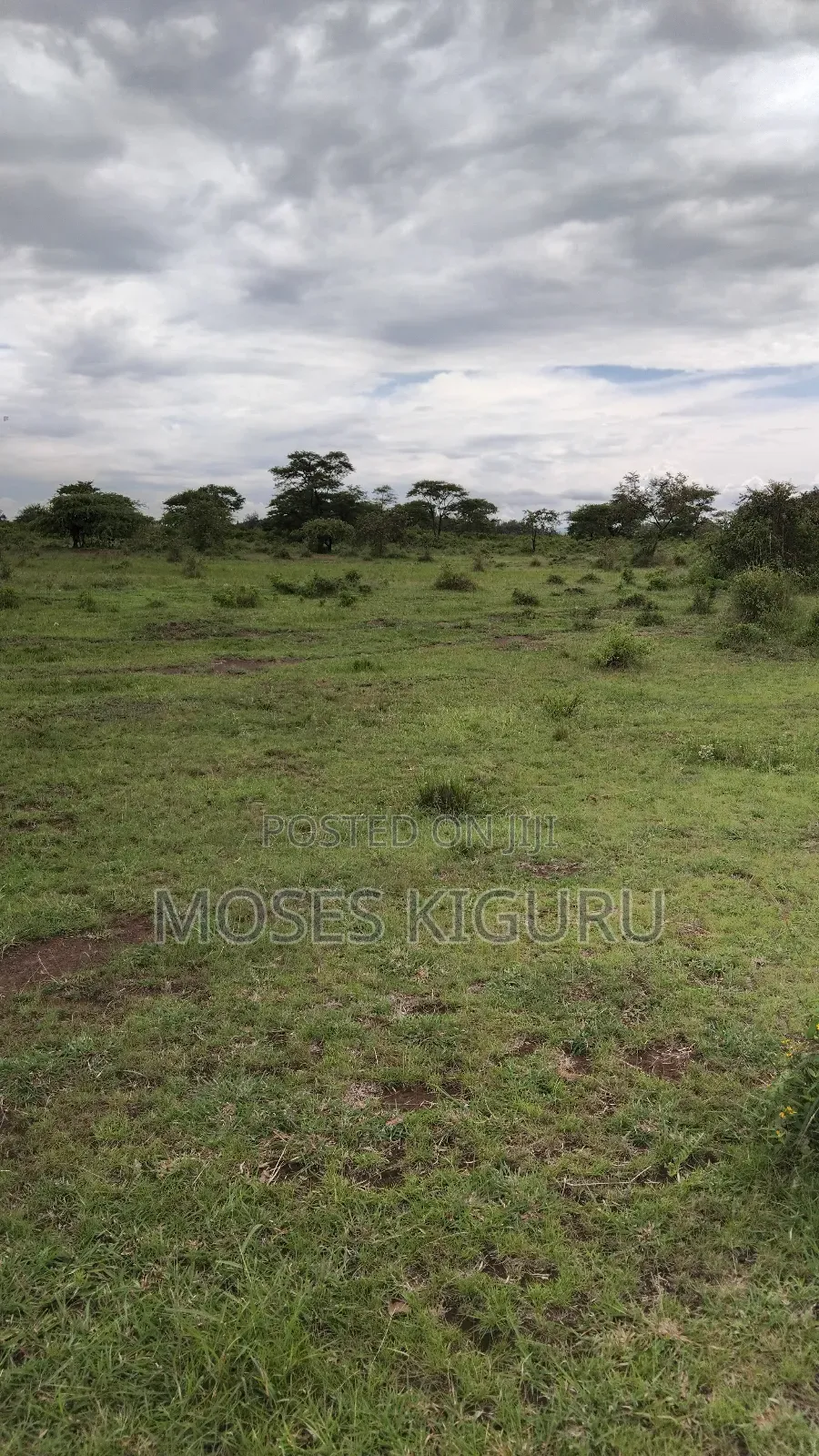 Juja 1/4 Commercial Plots.