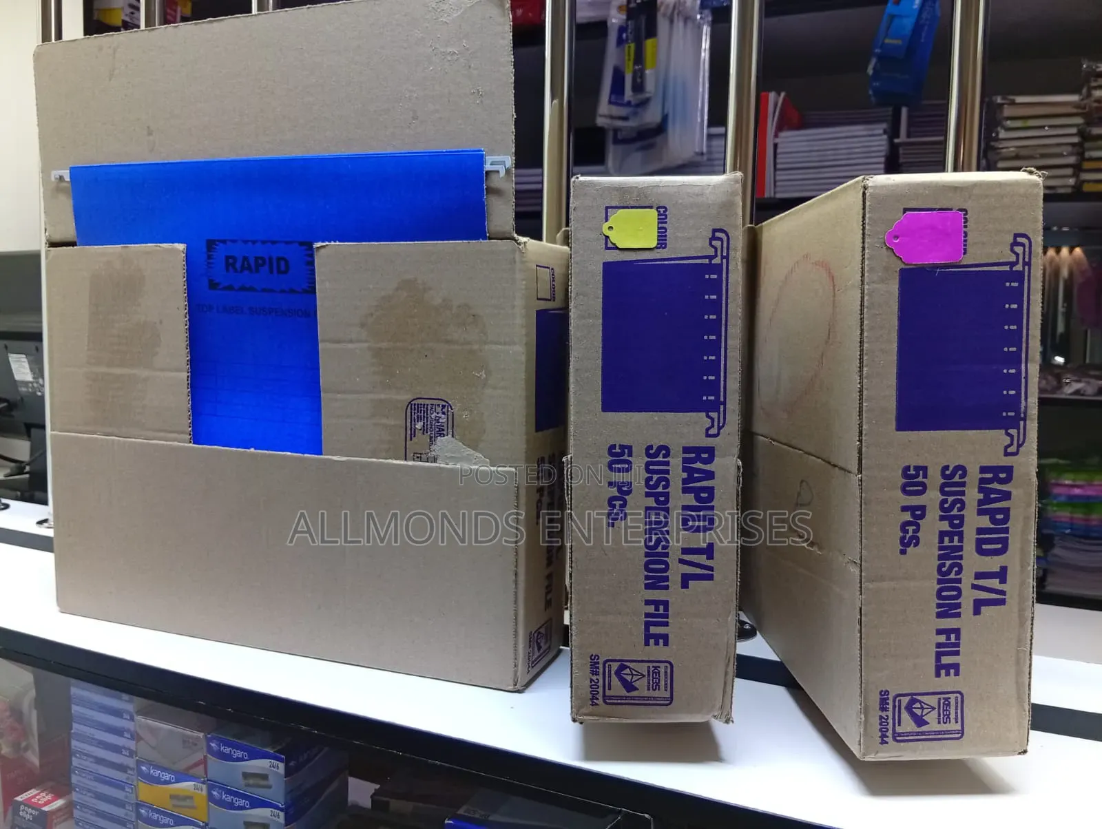 A Carton of Rapid Plastic Suspension File- 50 Pieces